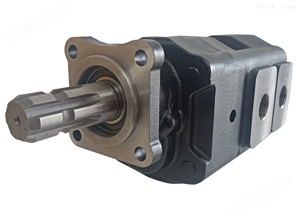 ISO 4孔双联铸铁齿轮泵KBLH-S0系列