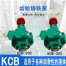 KCB-300工业铸铁变压器油齿轮泵