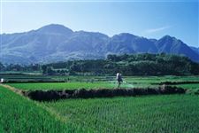 标准解读：《DB52/T 1246.4-2017贵州水稻机插秧全程机械化 第4部分 插秧》