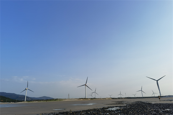 巧用“微”力量 微风发电助力实现“双碳”目标 