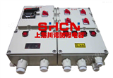 BXM（D）系列上海防爆配电箱    防爆照明（动力）配电箱厂家