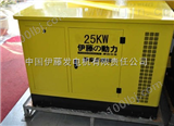 上海全自动25KW汽油发电机