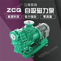 JN/江南 磁力自吸式氟塑料泵 化工卧式泵 高温硫酸泵 ZCQ50-32-160