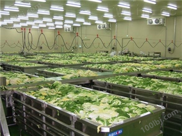 QD泡菜加工设备流水线设备供应厂家 泡菜机械