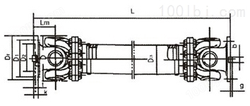 SWC型联轴器4