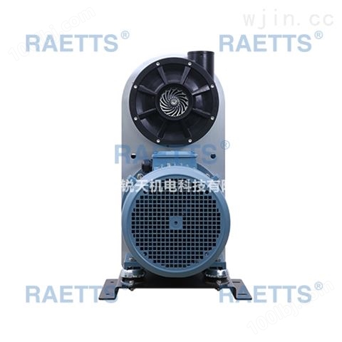 RAETTS300雷茨涡轮式鼓风机