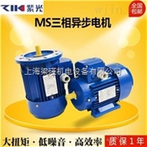 紫光电机,MS112M-2紫光三相异步电机